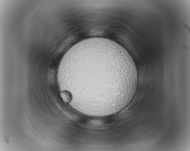 X0000099940171200806131433