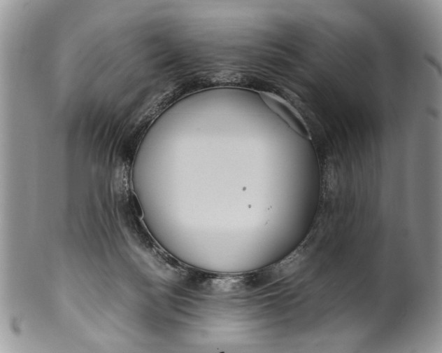 X0000099940172200806131433