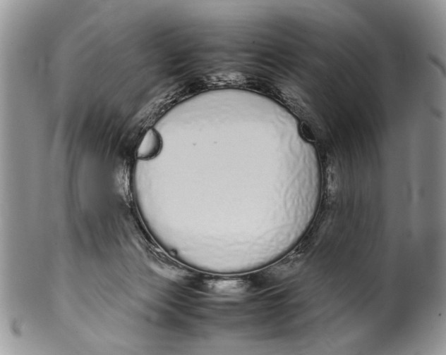 X0000099940173200806131433