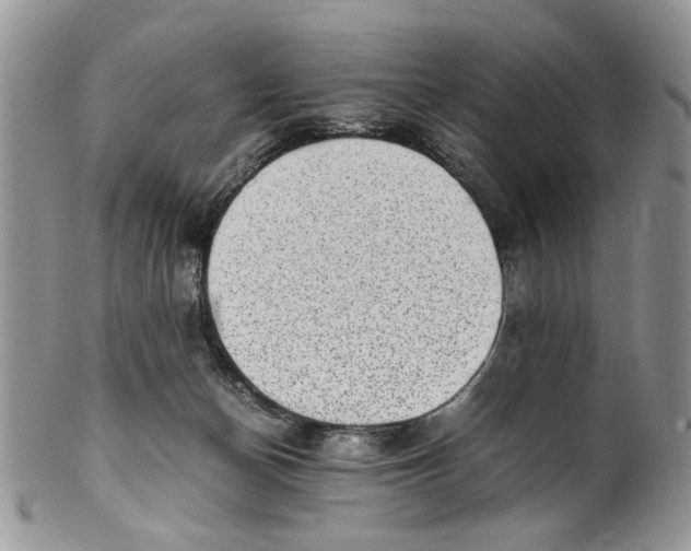 X0000099940174200806131433