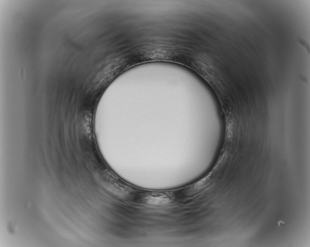 X0000099940175200806131433