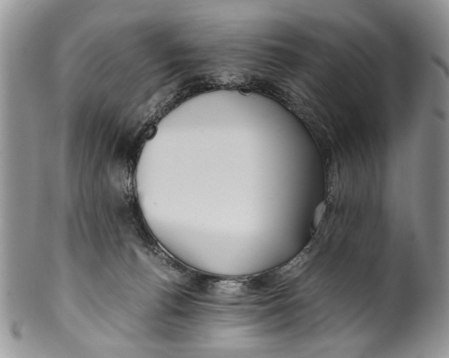 X0000099940176200806131433