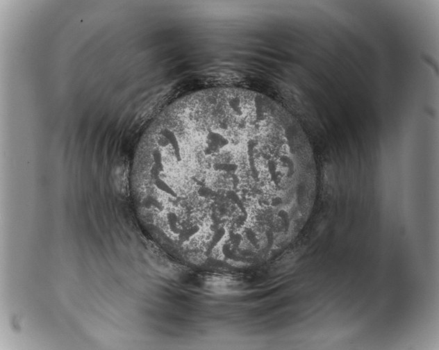 X0000099940177200806131433