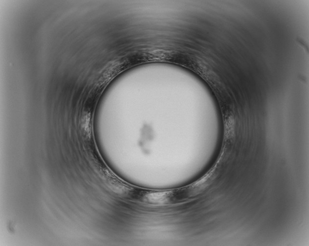 X0000099940178200806131433