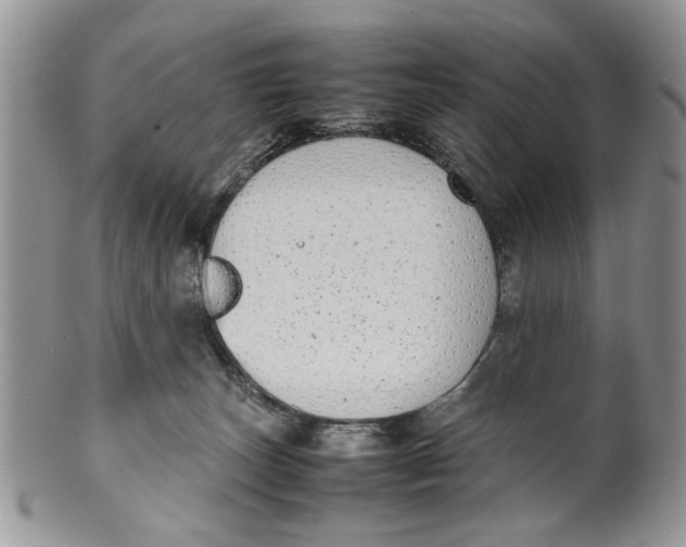 X0000099940179200806131433