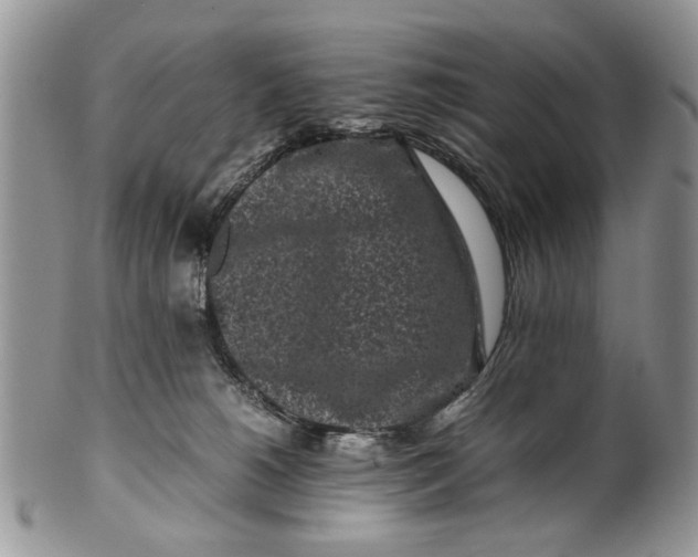 X0000099940180200806131433