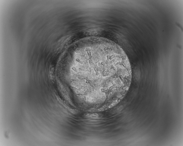 X0000099940181200806131433