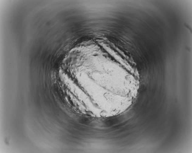 X0000099940182200806131433