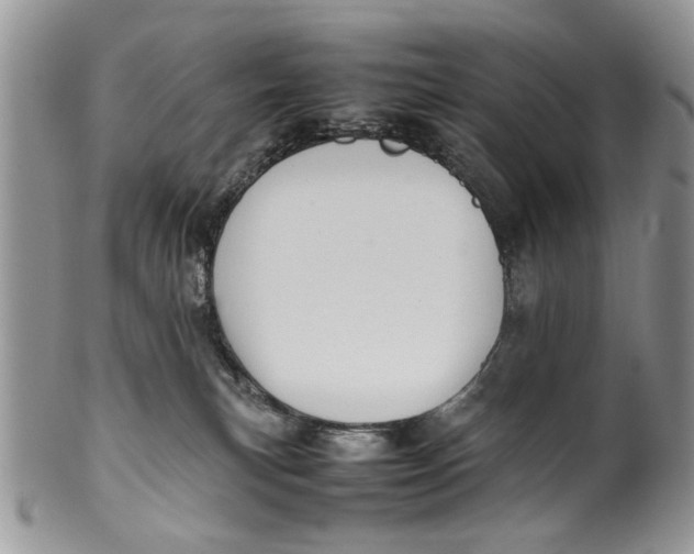 X0000099940183200806131433