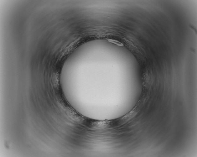 X0000099940184200806131433