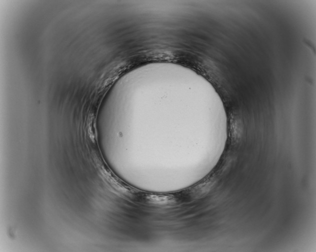 X0000099940185200806131433