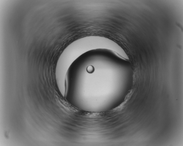 X0000099940186200806131433