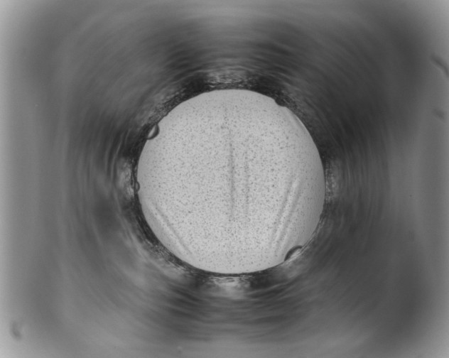 X0000099940187200806131433