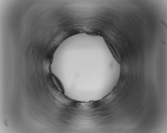 X0000099940188200806131433