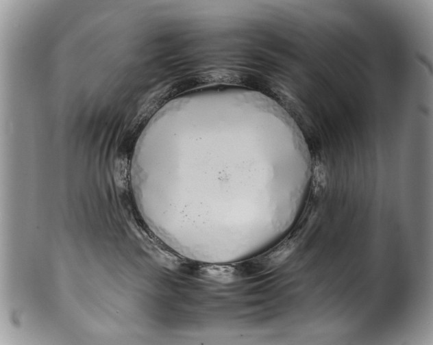 X0000099940189200806131433