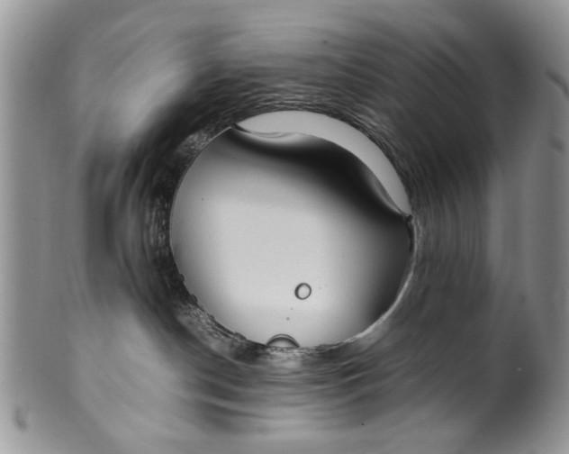 X0000099940190200806131433