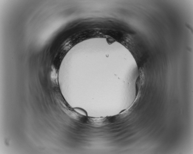 X0000099940191200806131433