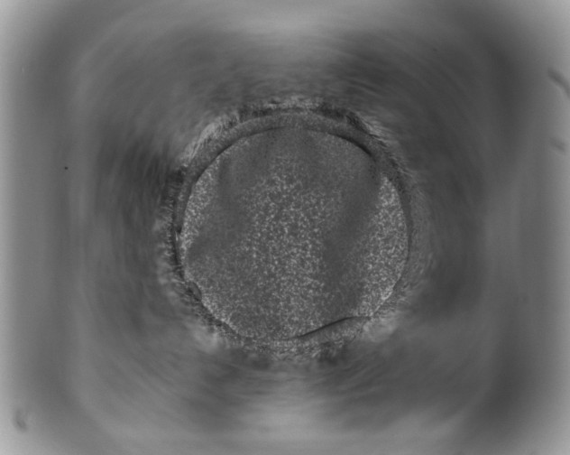 X0000099940192200806131433