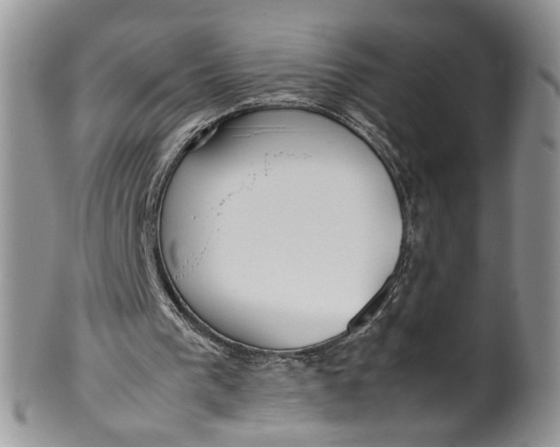 X0000099940193200806131433