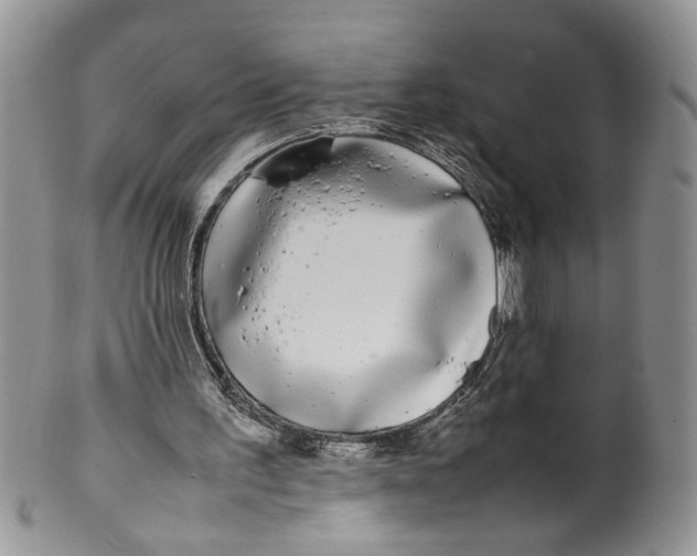 X0000099940195200806131433