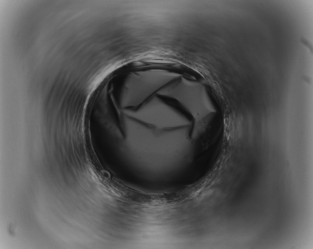 X0000099940196200806131433