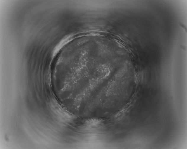 X0000099940198200806131433