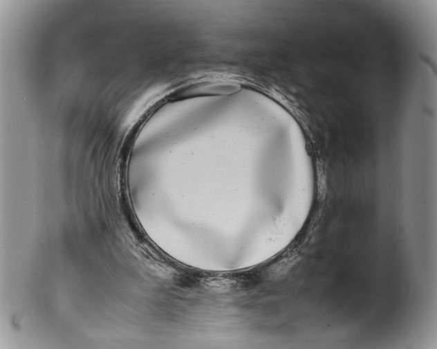 X0000099940199200806131433