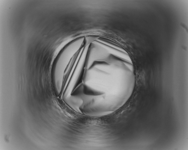 X0000099940200200806131433