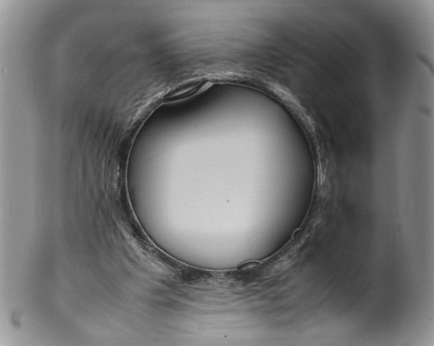 X0000099940201200806131433