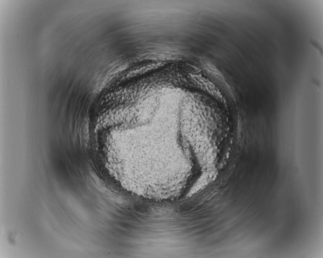 X0000099940202200806131433