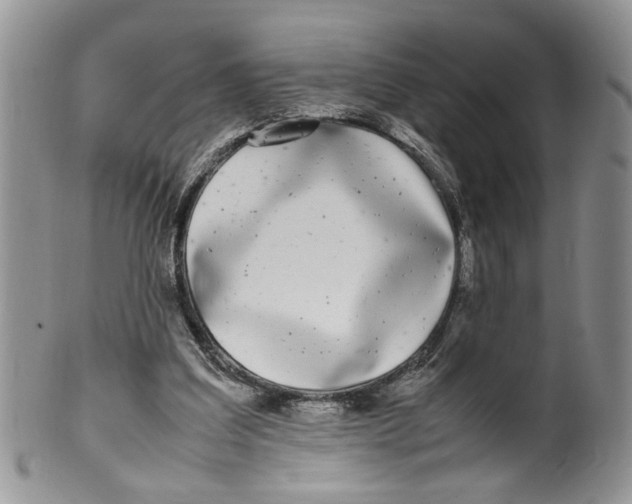 X0000099940203200806131433