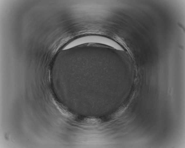 X0000099940205200806131433