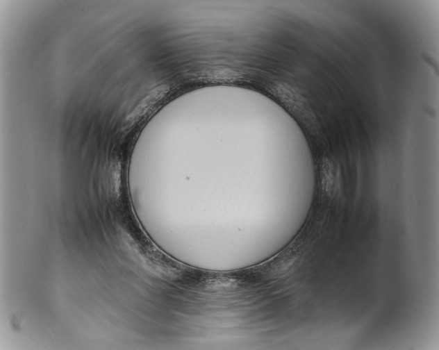 X0000099940206200806131433