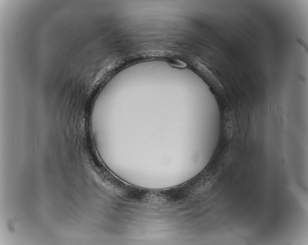 X0000099940207200806131433