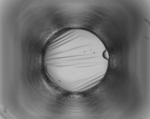 X0000099940208200806131433