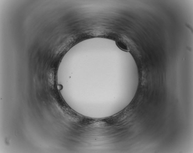 X0000099940210200806131432