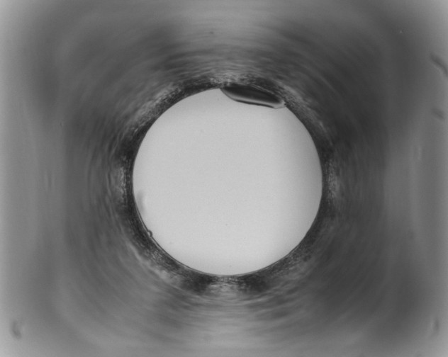 X0000099940211200806131432