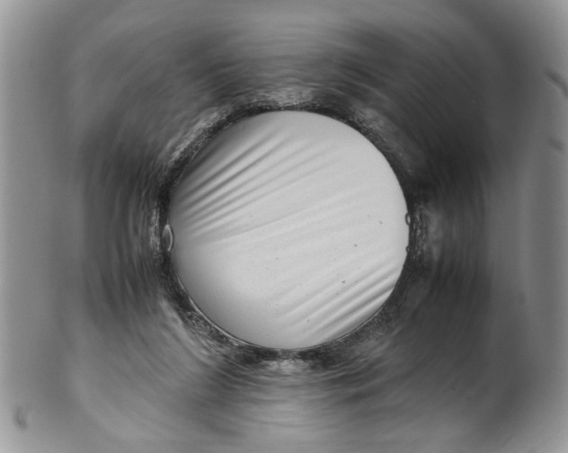 X0000099940212200806131432