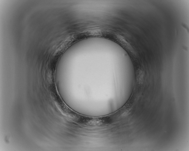 X0000099940213200806131432