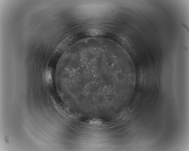 X0000099940214200806131432