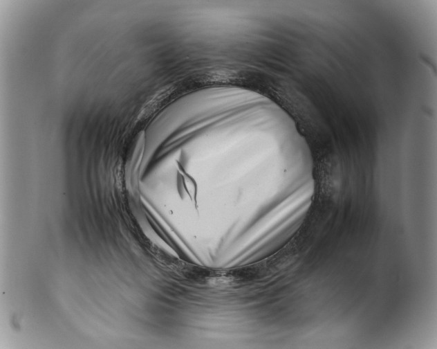 X0000099940216200806131432