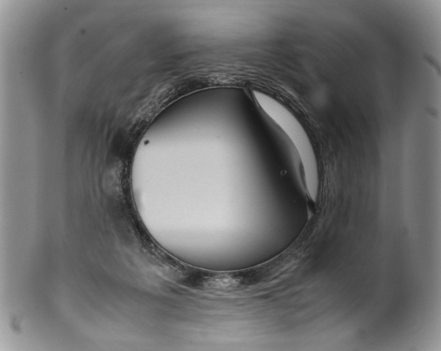 X0000099940217200806131432