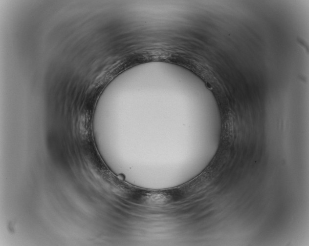 X0000099940218200806131432