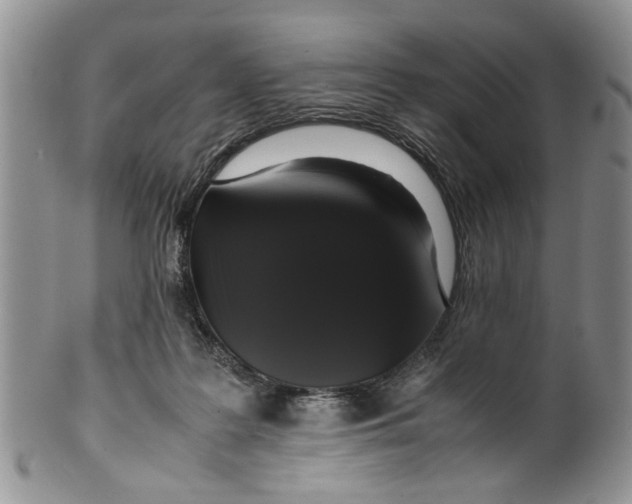 X0000099940219200806131432