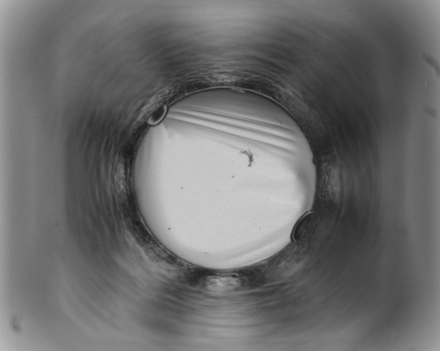 X0000099940220200806131432