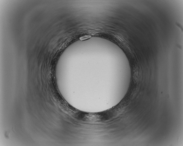 X0000099940221200806131432