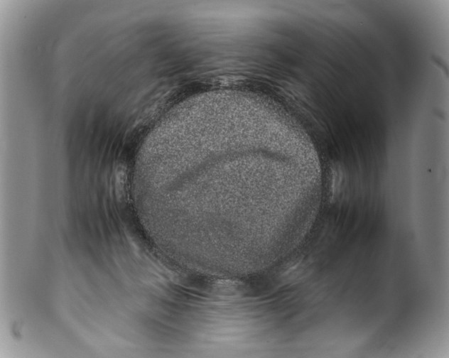 X0000099940222200806131432