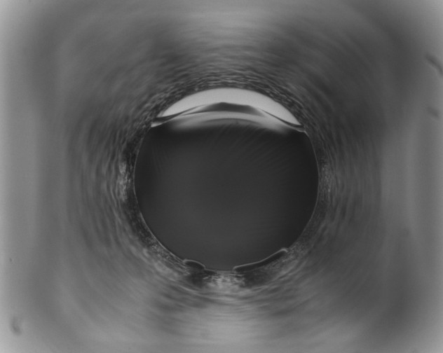 X0000099940223200806131432