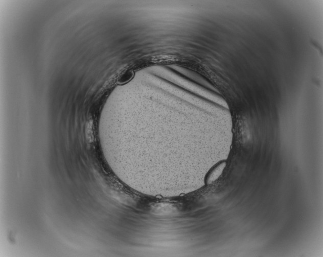 X0000099940224200806131432