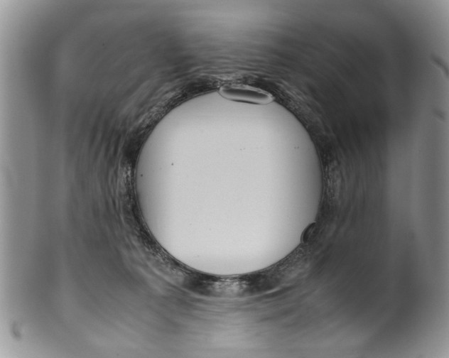 X0000099940225200806131432